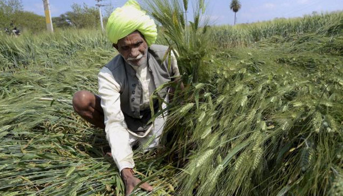 PM-KISAN scheme receives applications from more than 29 lakh Farmers in Rajasthan