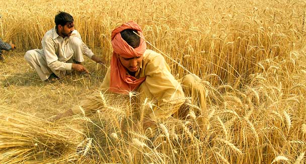 How long will farmer continue to vote for debt waivers? India needs concrete solution