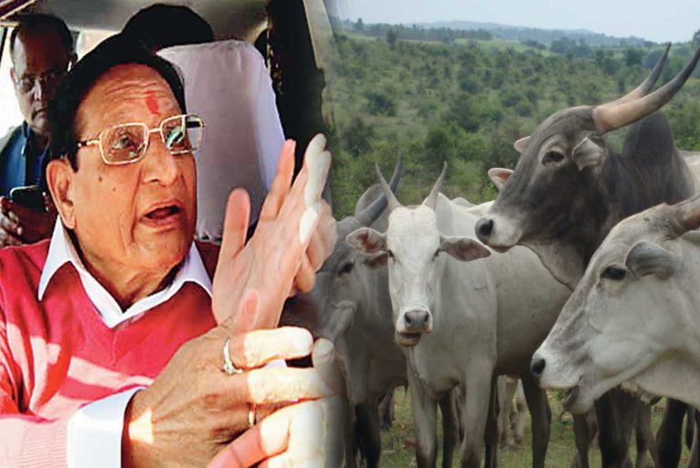 ‘गाय को पूजना व्यर्थ’ वाले बयान पर देश में छिड़ी नई बहस, भाजपा के बाद अब संत समाज उतरा मैदान में