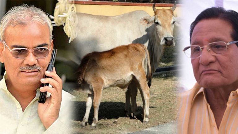 राजस्थान विधानसभा में फिर छाया गाय का मुद्दा, सदन में जमकर चले ‘शब्दबाण’