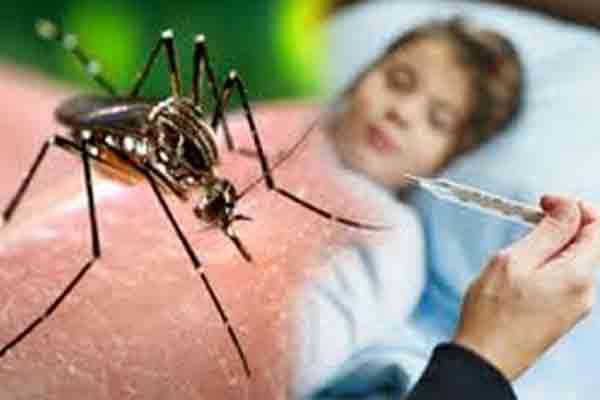राजस्थान में डेंगू का कहर : टूटा 18 साल का रिकॉर्ड, 6 हजार के पार पहुंचे मरीज, जिम्मेदारों को नहीं परवाह