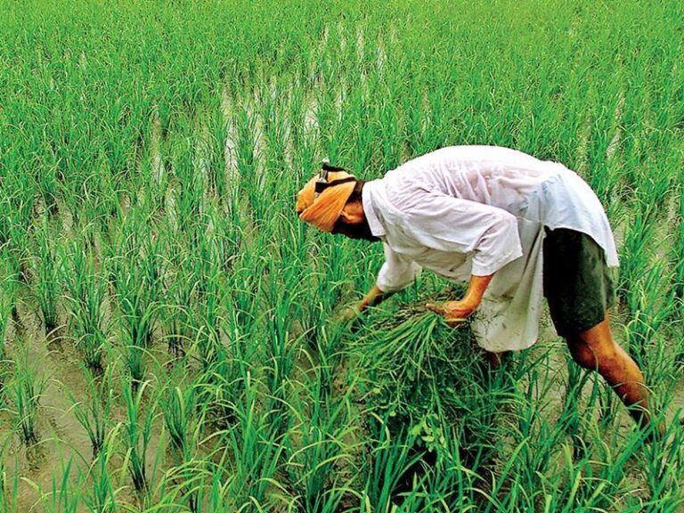 राजस्थान : किसान सालभर इन बड़ी समस्याओं से जूझे, सरकार से मिली ​फौरी राहत